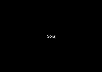 When will Sora be available to the public?