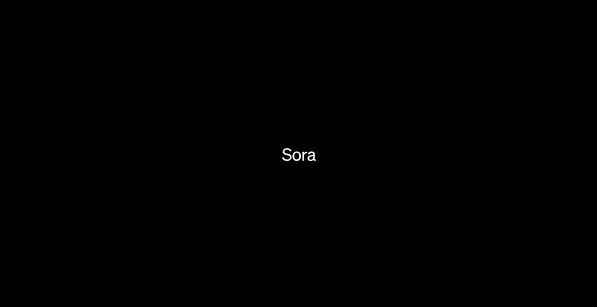 Uitgelegd: is Sora vrij?