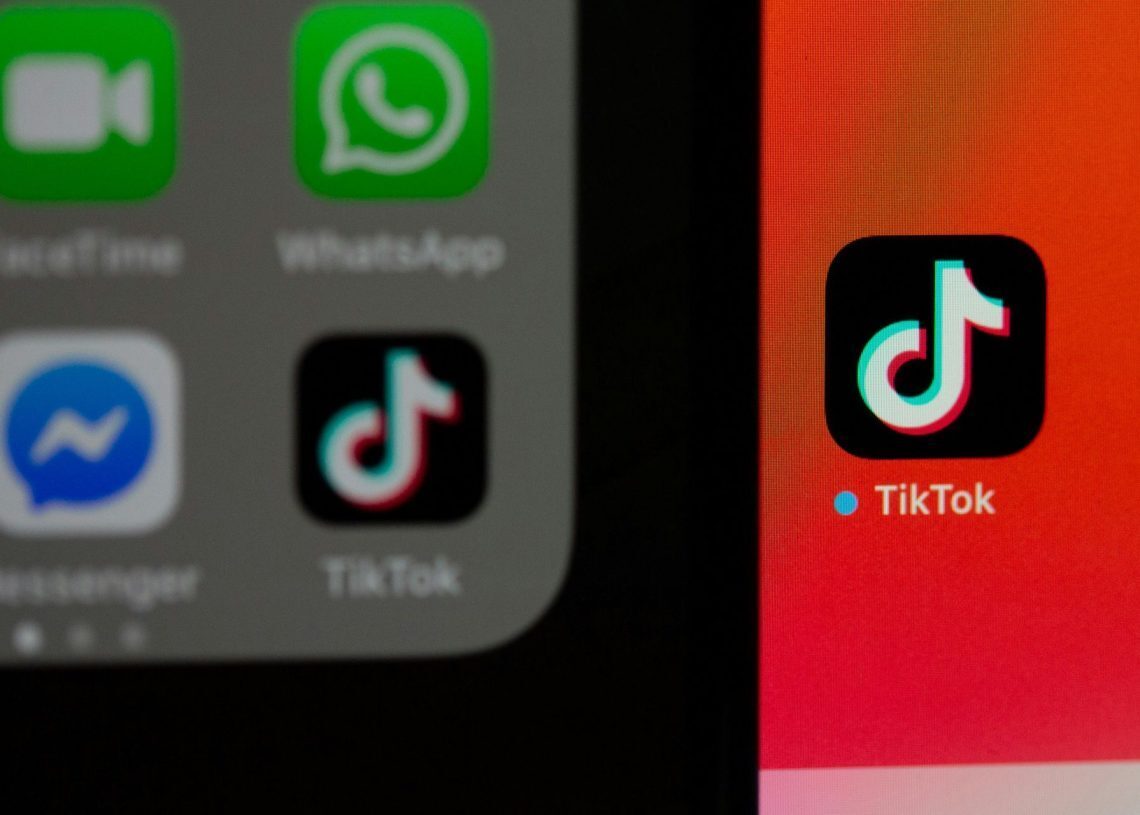 How much is a lion on TikTok?