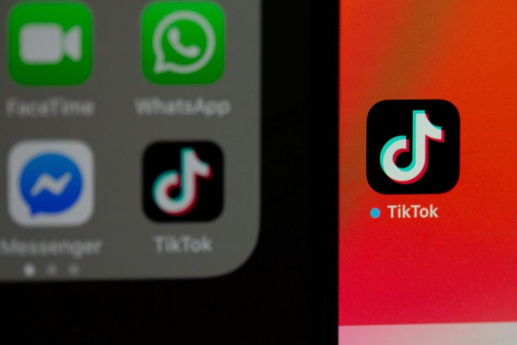 How much is a lion on TikTok?