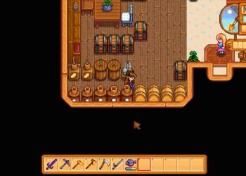 What are Stardew Valley Mystery Boxes?