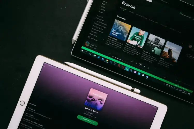 Spotify Music Pro plan