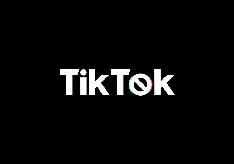 TikTok bill passed TikTok ban
