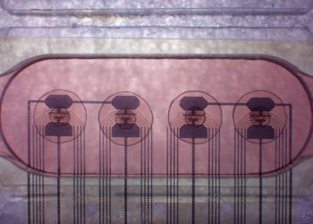 Brain organoids and bioprocessors: A new approach to computing