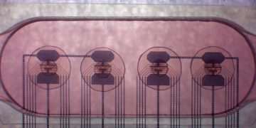 Brain organoids and bioprocessors: A new approach to computing