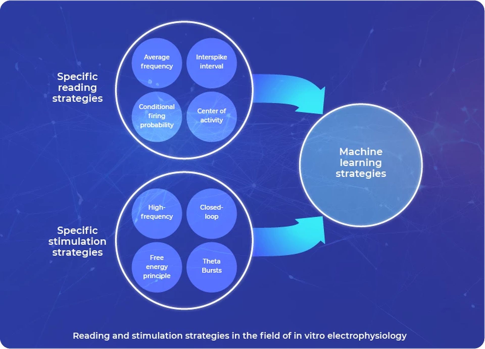 Brain organoids and bioprocessors: A new approach to computing