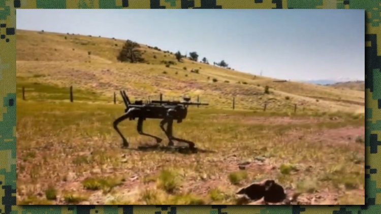 US Navy Seals test robotic dogs for reconnaissance and potential weapons