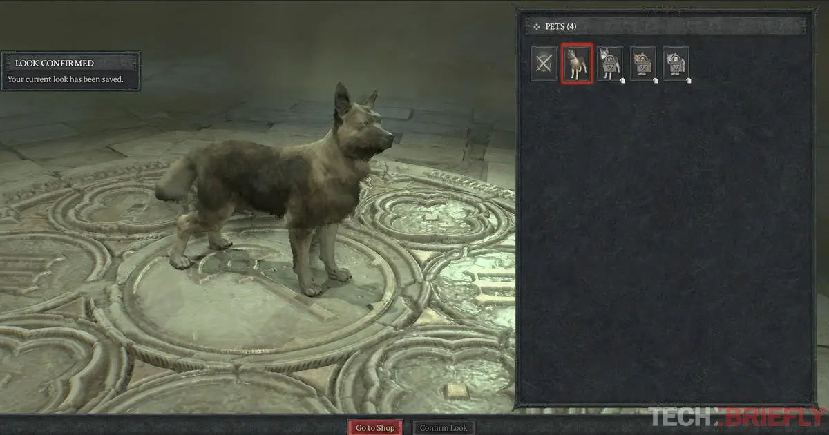 How to get a pet in Diablo 4?