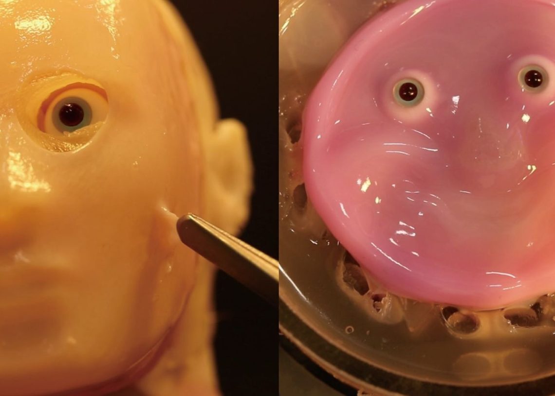 Scientists develop living skin for robots faces