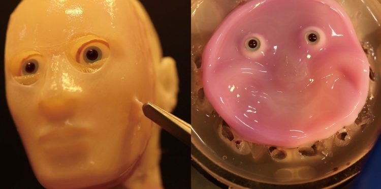 Scientists develop living skin for robots faces