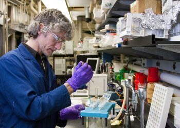 The drought that shaped cow DNA: A 10,000-year genetic journey and the impact on modern livestock