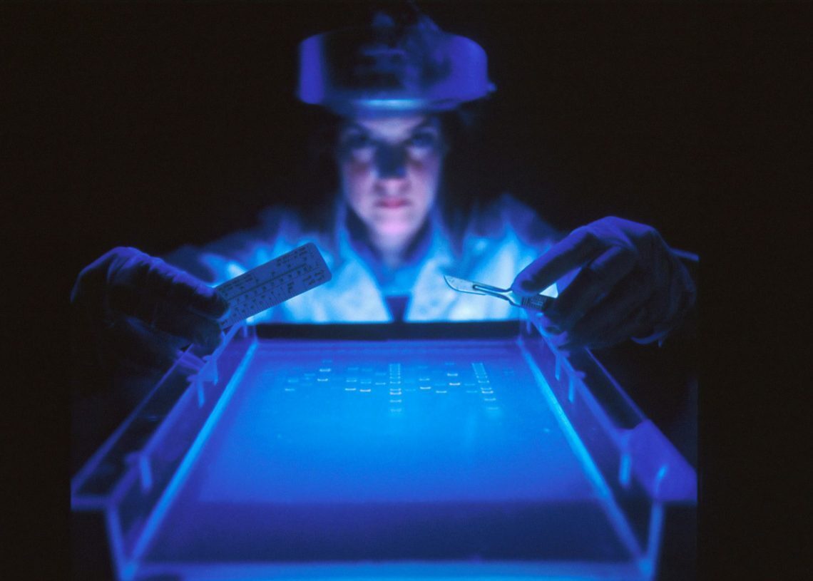 AI scientists research learn and discover