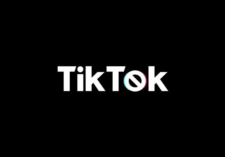 TikTok faces tough US court challenge