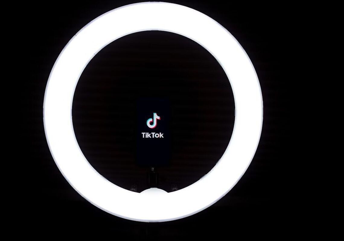 Trump proposes TikTok sale to Musk or Ellison