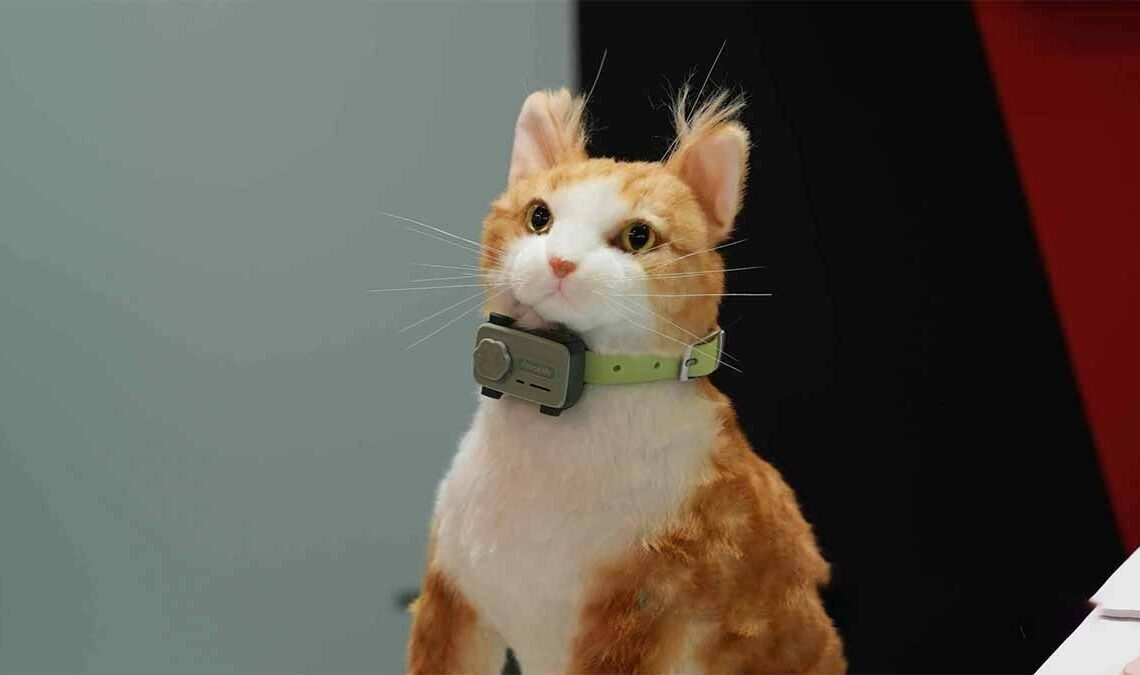 Glocalme’s Petphone is a smartphone for your furry friend, unveiled at MWC 2025