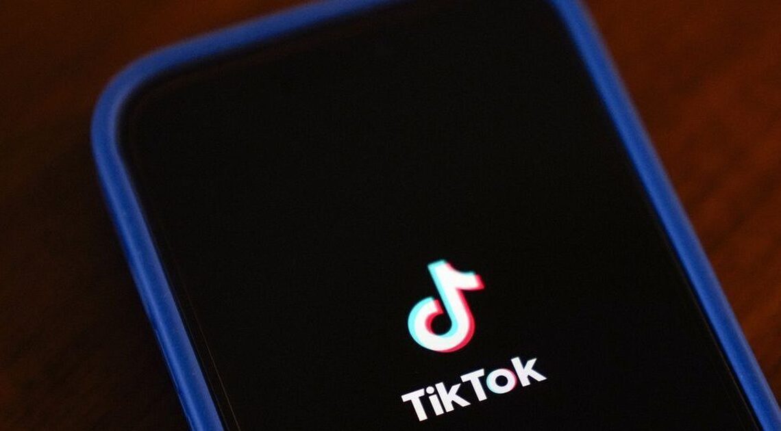 TikTok developing separate US app amid sale talks