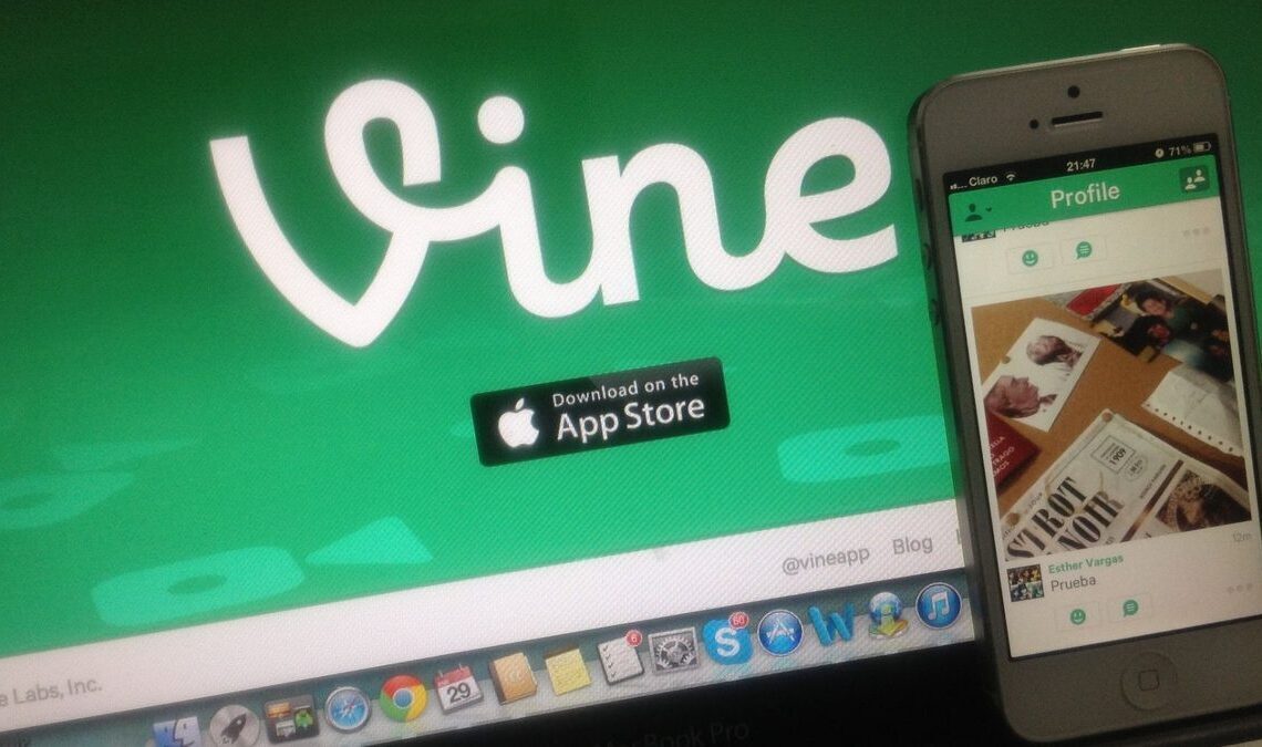 Vine’s back? X says archive found