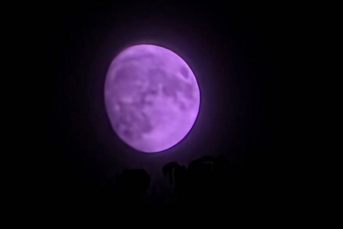 Samsung One UI 8 Beta 4 shows purple moon camera bug