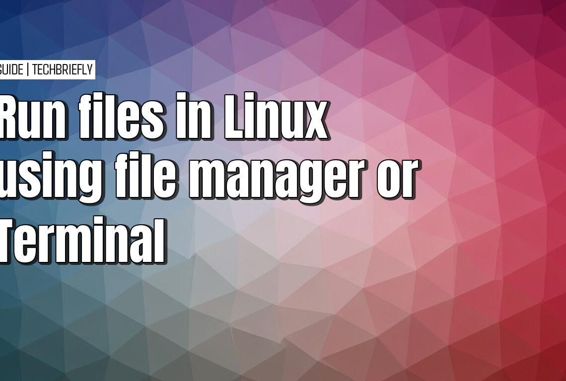 Running files in Linux using file manager or the terminal