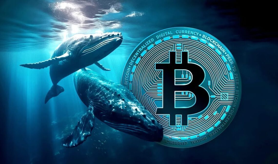 Bitcoin whales sell $12.7b BTC in largest sell-off since 2022