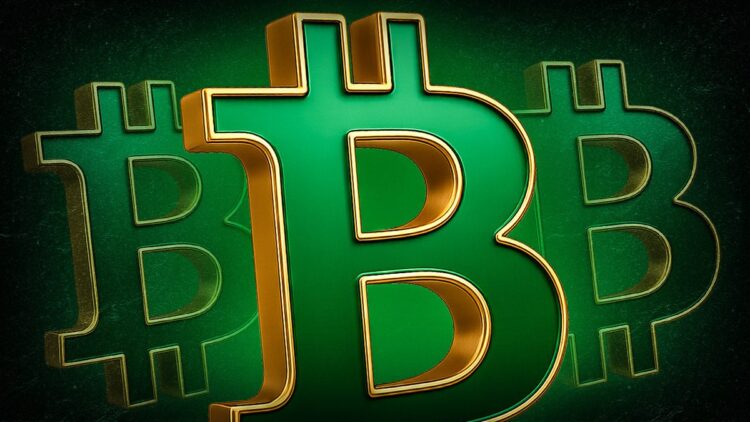 Telegram CEO Pavel Durov funds lifestyle with Bitcoin investments