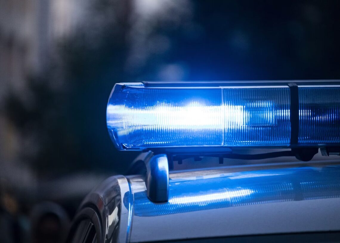 Italian police arrest siblings accused of hacking 18,000 high-profile targets