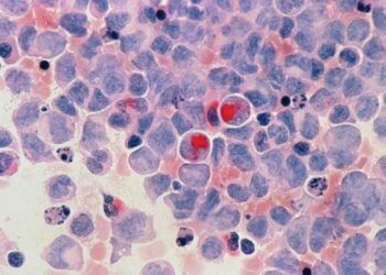 New  billion AstraZeneca deal targets 23% of all cancer types