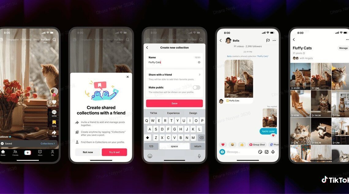TikTok launches Shared Feed and Collections globally