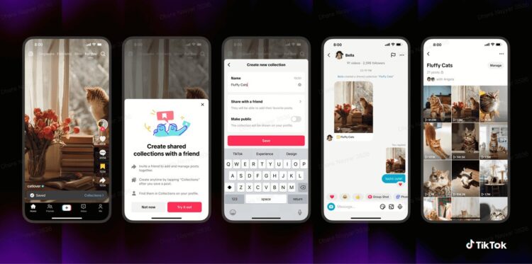 TikTok adds Shared Feed and Collections to boost direct messaging