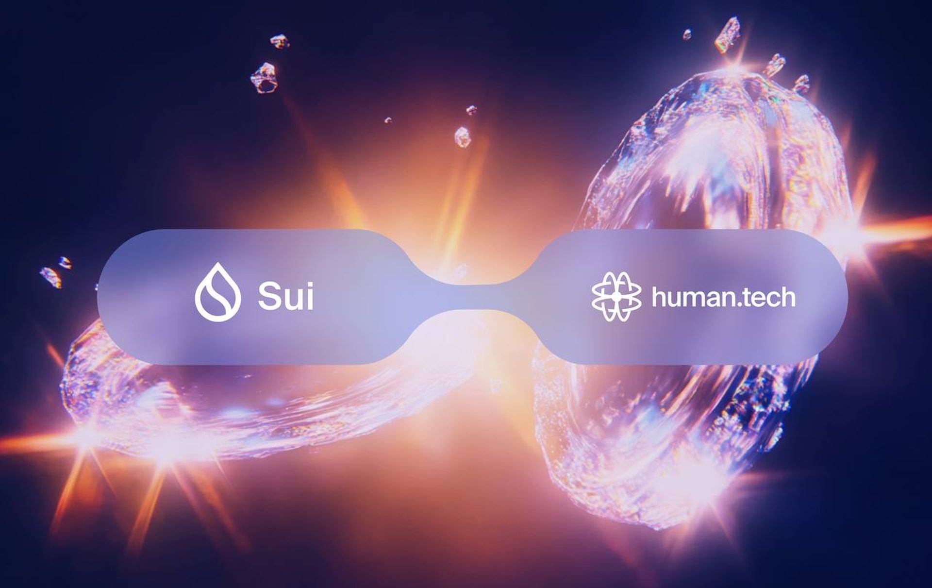 Wallet-as-a-Protocol launches on Sui for seamless onboarding and account recovery