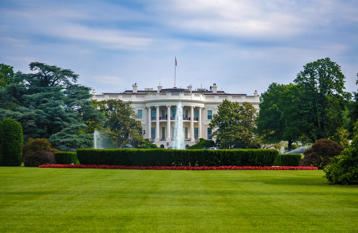 White House considers oversight for new AI models