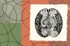 Anthropic study finds Claude models form internal workspace resembling consciousness