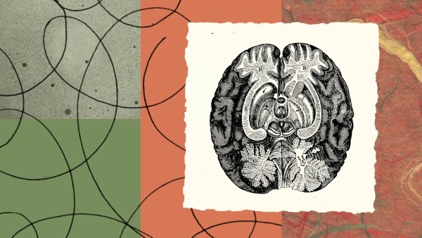 Anthropic study finds Claude models form internal workspace resembling consciousness