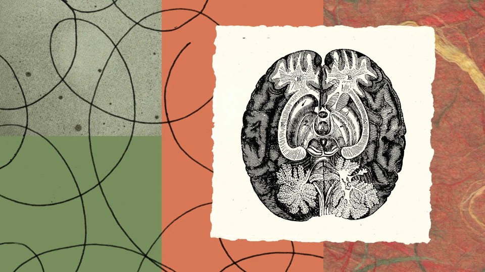 Anthropic study finds Claude models form internal workspace resembling consciousness