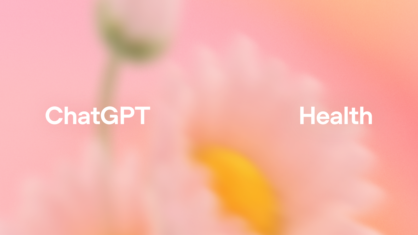 OpenAI launches ChatGPT Health for all US users